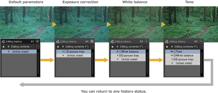 Default parameters / Exposure correction / White balance / Tone, You can return to any history status.