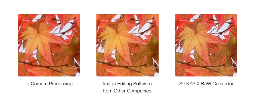 Comparison with each image processing engine (JPEG exported image)
