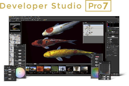 Developer Studio Pro7