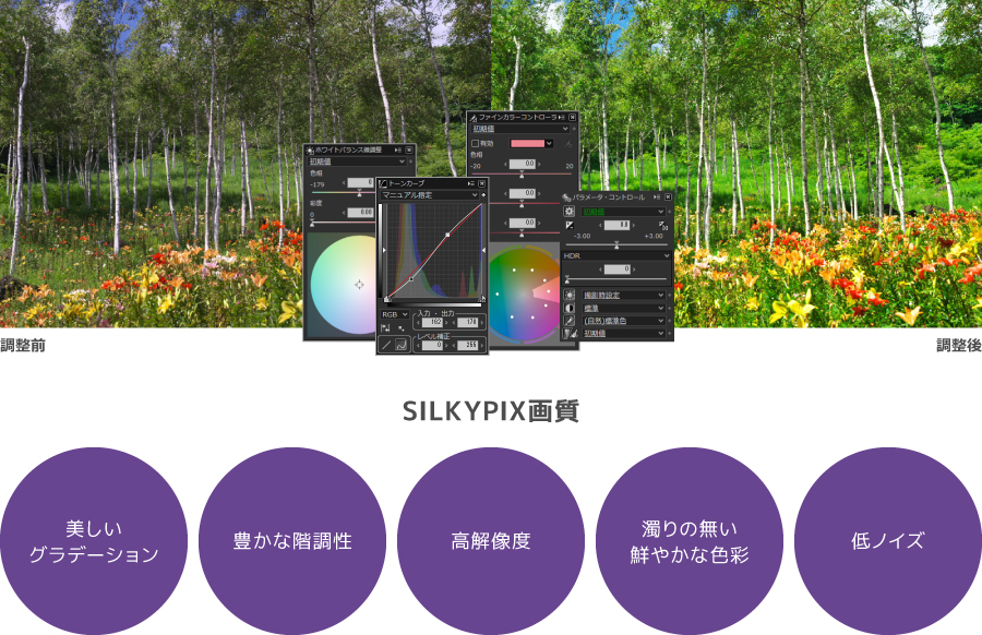 SILKYPIX画質 美しいグラデーション 豊かな階調性 高解像度 濁りの無い鮮やかな色彩 低ノイズ