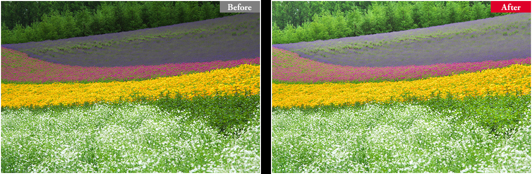 panasonic silkypix panasonic silkypix