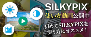 silkypix developer studio pro 7 for panasonic english
