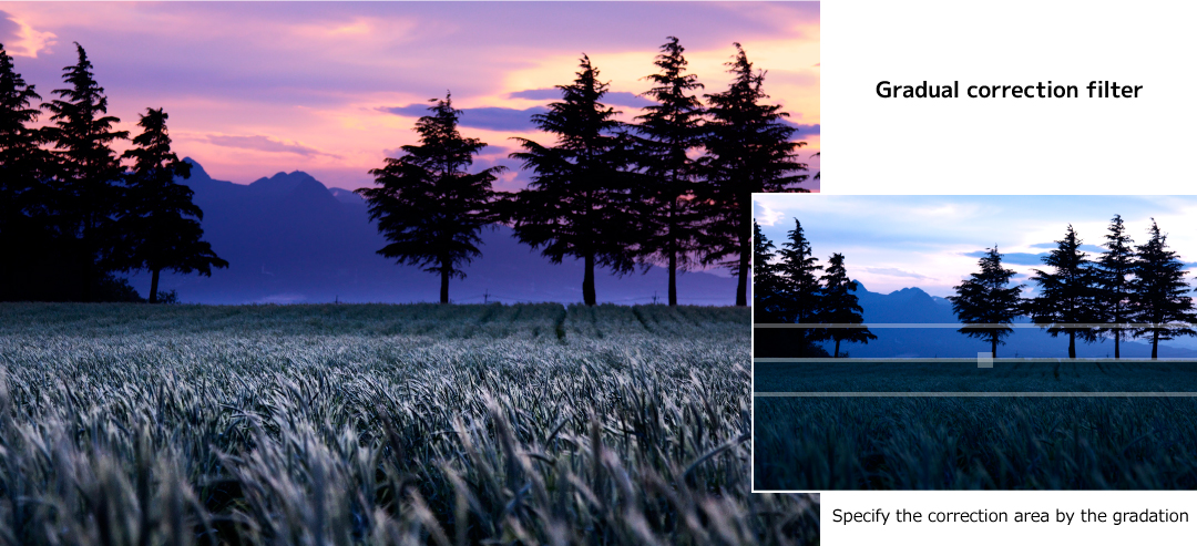 Gradual correction filter: Specify the correction area by the gradation.