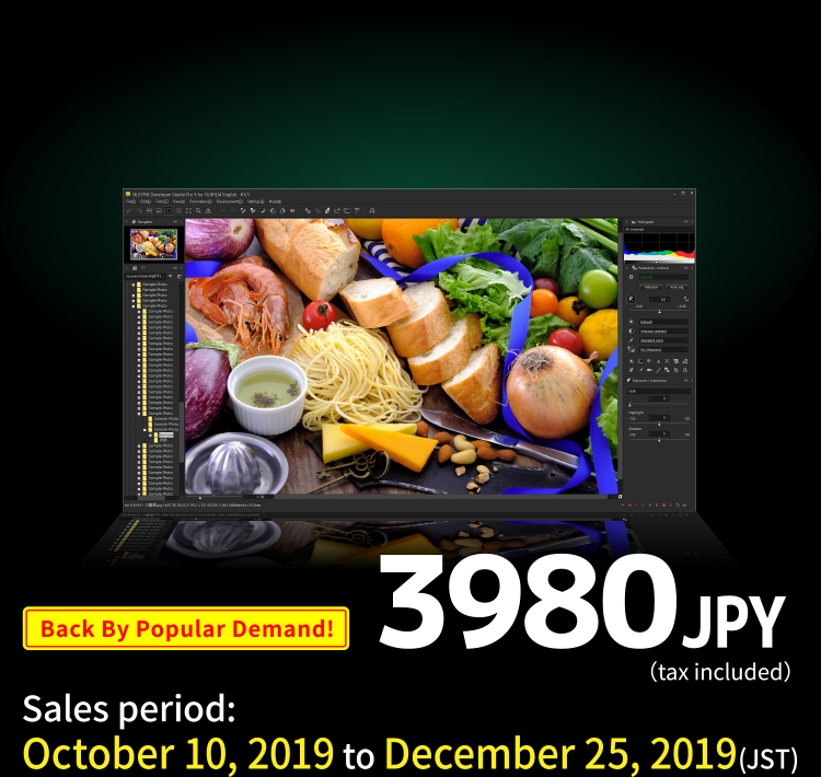Sales period: from October 10, 2019 to December 25, 2019 (JST) 3980 JPY