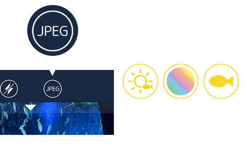 Blue tint, color, and contrast can be changed.