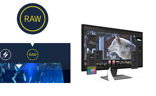 SILKYPIX allows a wide range of adjustments.