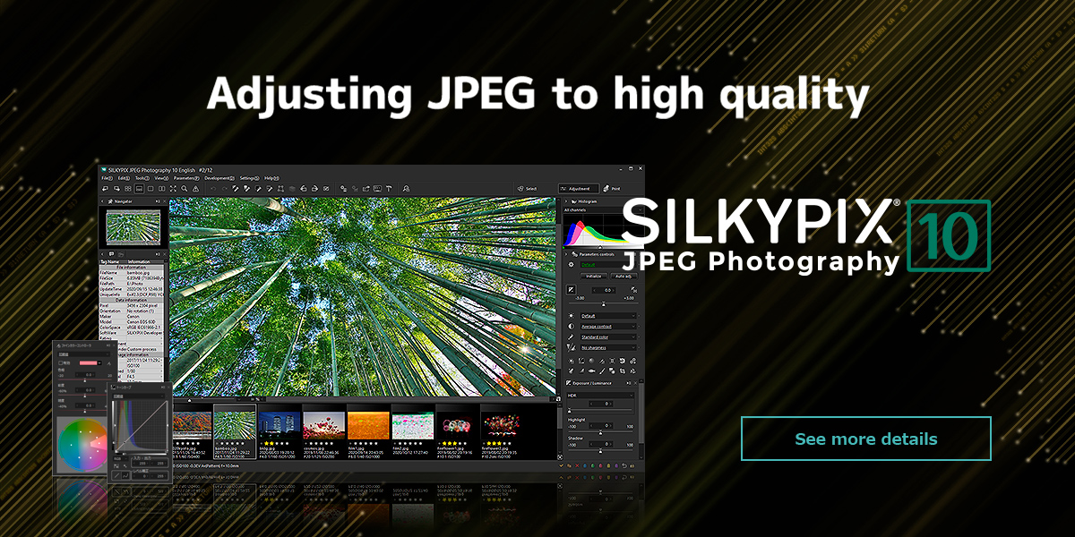 downloading SILKYPIX JPEG Photography 11.2.11.0