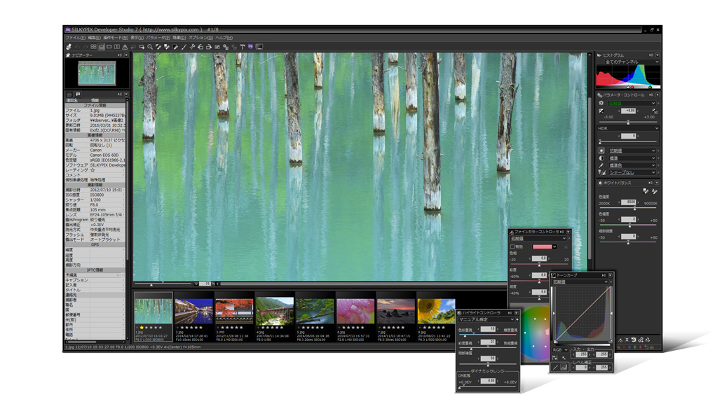 SILKYPIX Developer Studio Pro 7