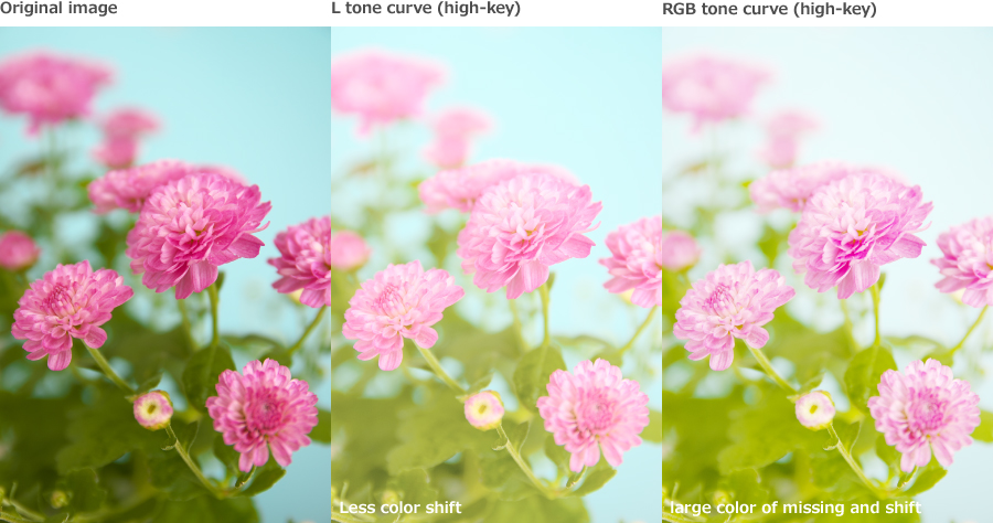 Original image, L tone curve (high-key): Less color shift, 
RGB tone curve (high-key): Large color of missing and shift