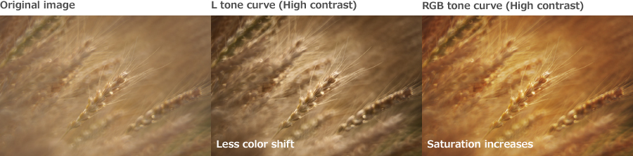 Original image, L tone curve (High contrast): Less color shift, RGB tone curve (High contrast): Saturation increases