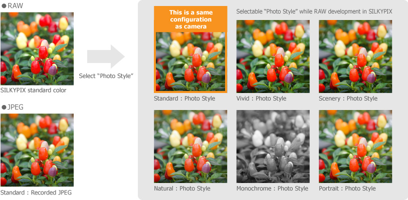 You can select "Photo Style" at RAW development