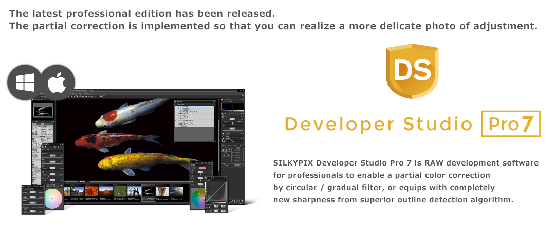 instaling SILKYPIX Developer Studio Pro