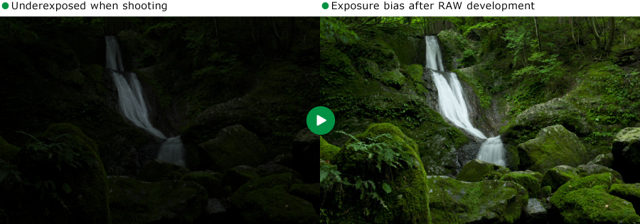 Exposure bias example