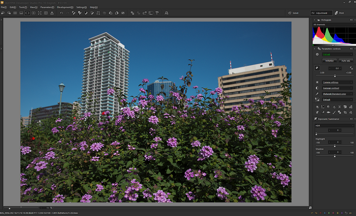 SILKYPIX Developer Studio Pro 10.0.2.7 Yugami1