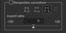 The Perspective correction tool