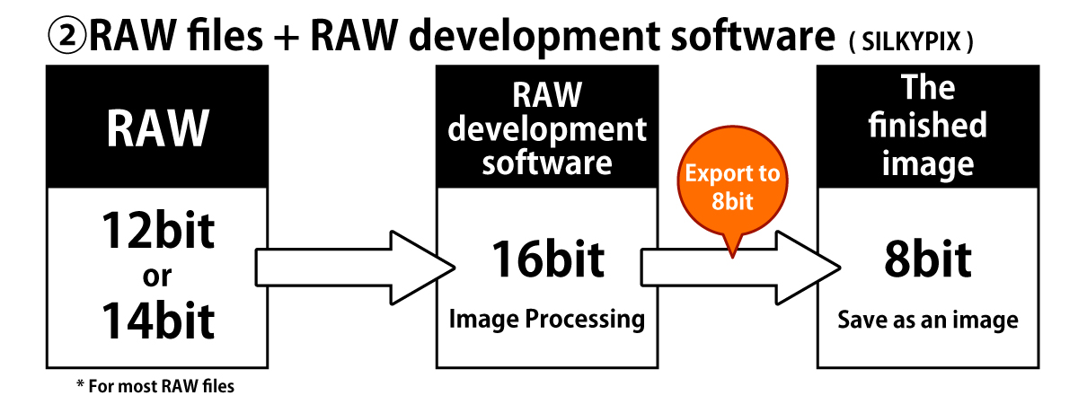 RAW files + RAW development software (SILKYPIX)