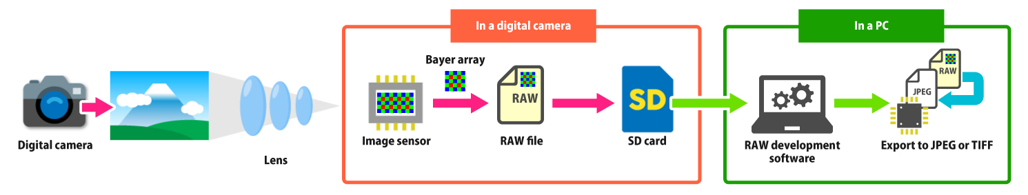 RAW Development Using RAW Development Software