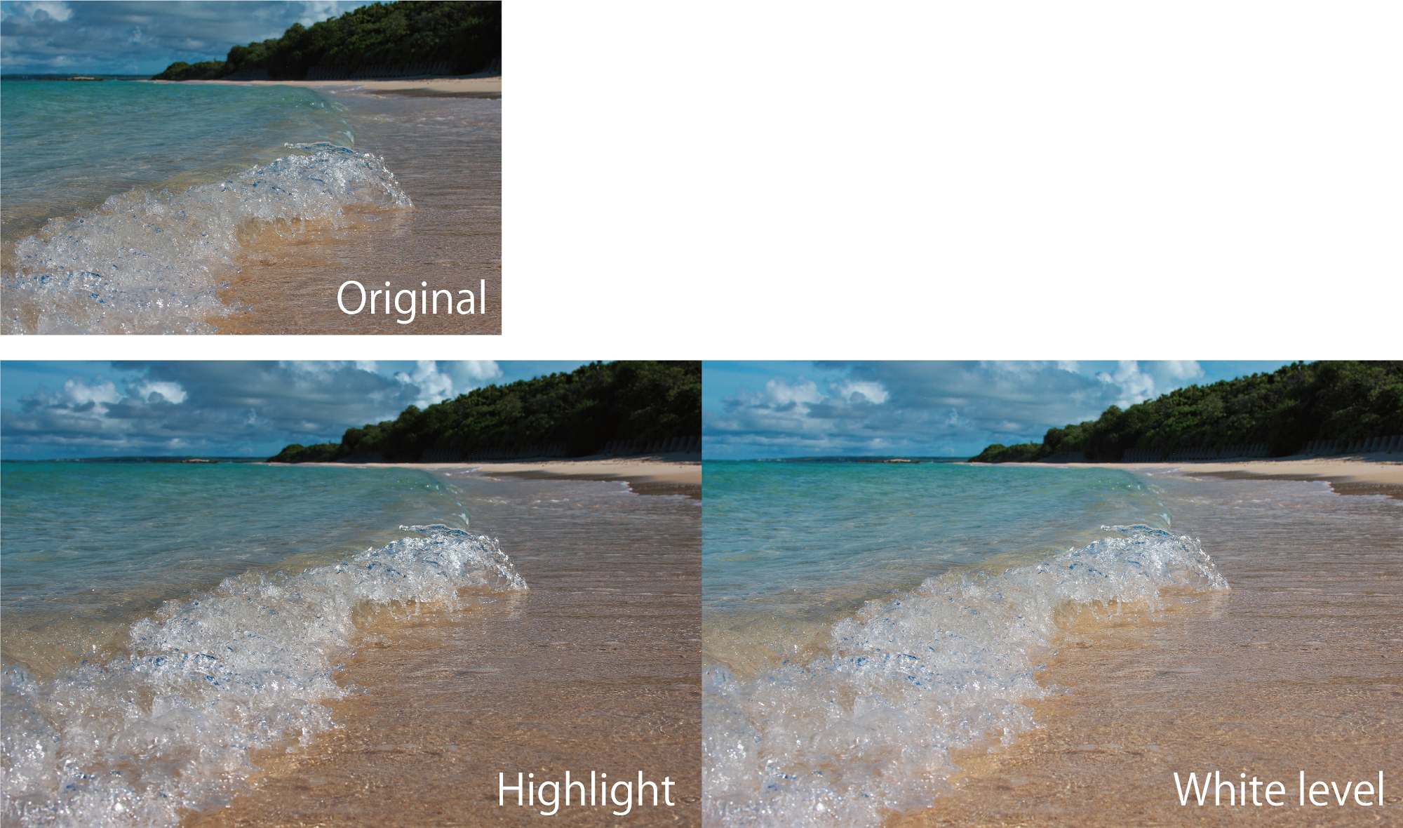 Differences Between the White Level and the Highlight
