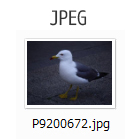 JPEGファイル(.jpg)