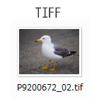 TIFFファイル(.tif)