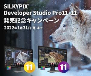 SILKYPIX Developer Stduio Pro11/11 発売記念キャンペーン