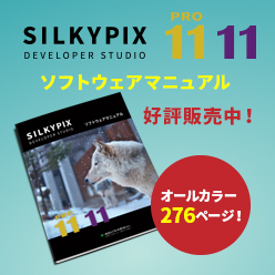 Developer Studio Pro1/11 ソフトウェアマニュアル 好評発売中