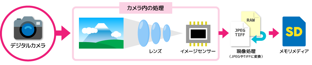 写ルンです で撮った写真を現像したい どこでできる コンビニは