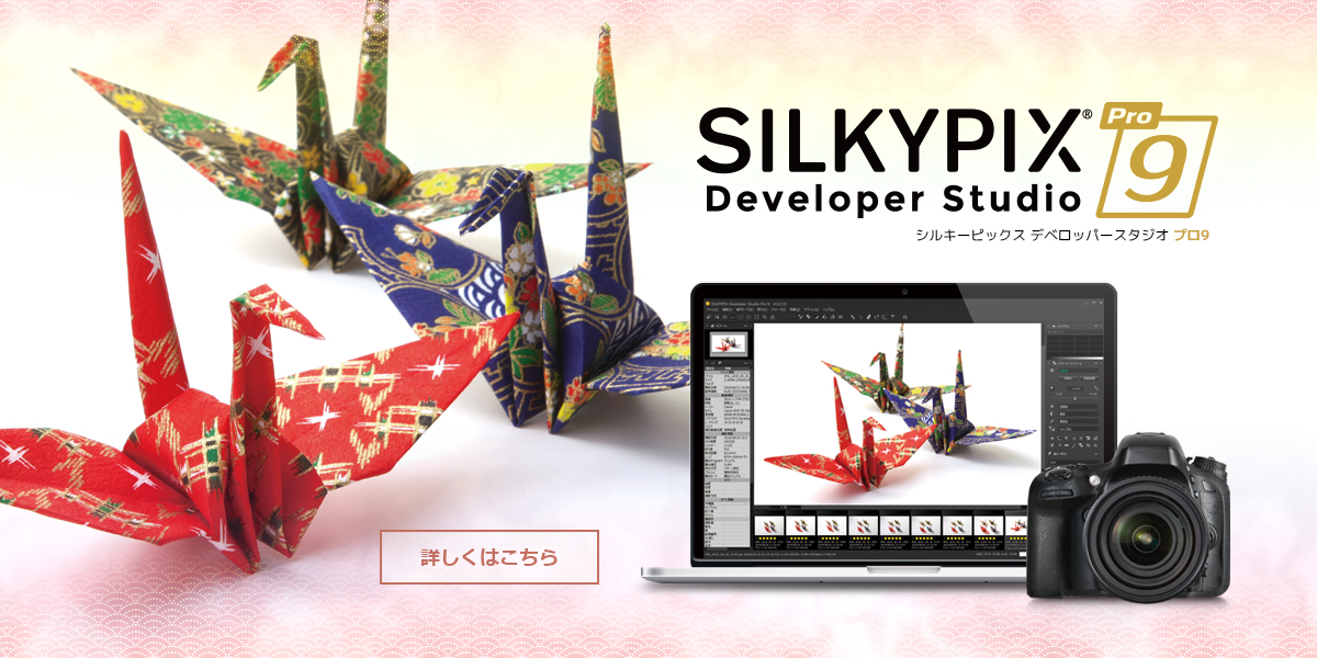 SILKYPIX Developer Studio Pro9