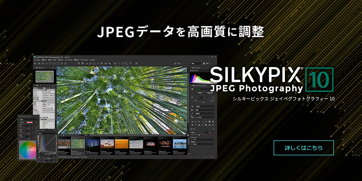 SILKYPIX JPEG Photography 11.2.11.0 download the new version for apple