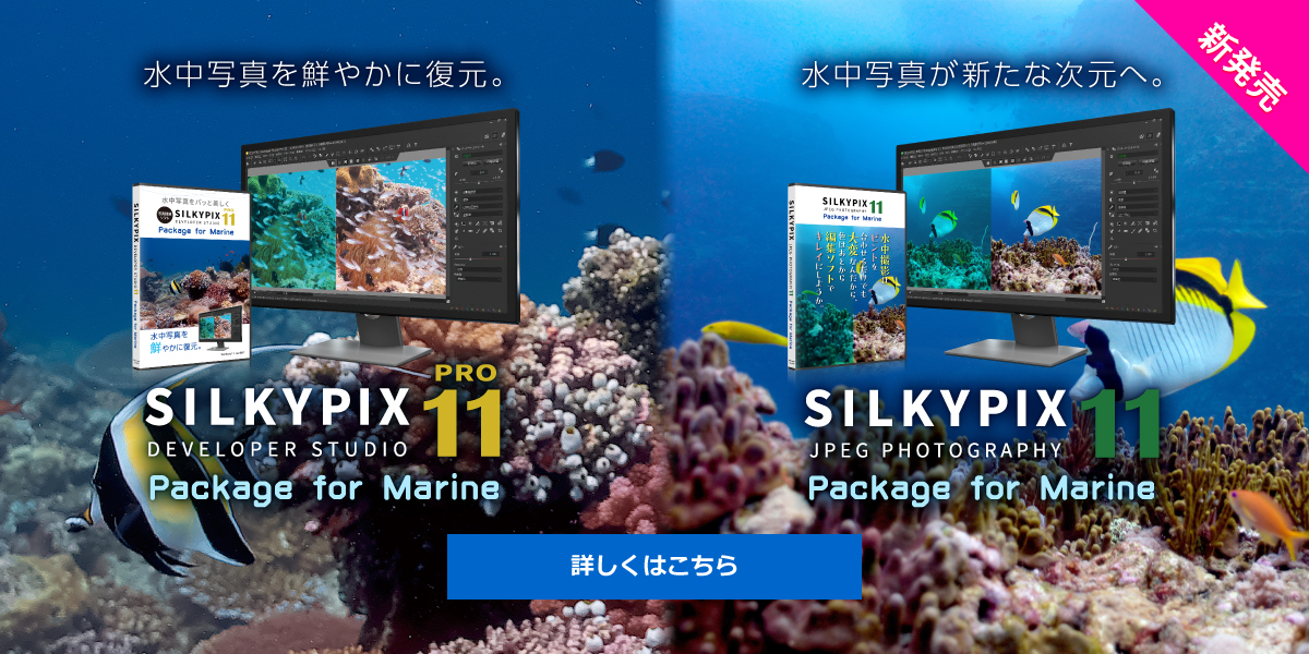 SILKYPIX Developer Studio Pro11 / JPEG Photography 11 ~ Package for Marine ~