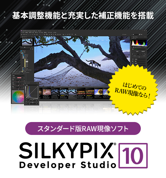 基本調整機能と充実した補正機能を搭載 RAW現像をはじめるなら！ スタンダード版RAW現像ソフト SILKYPIX Developer Stuidio 10