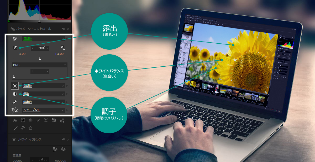 充実した基本機能 露出（明るさ）・ホワイトバランス（色合い）・調子（明暗のメリハリ）