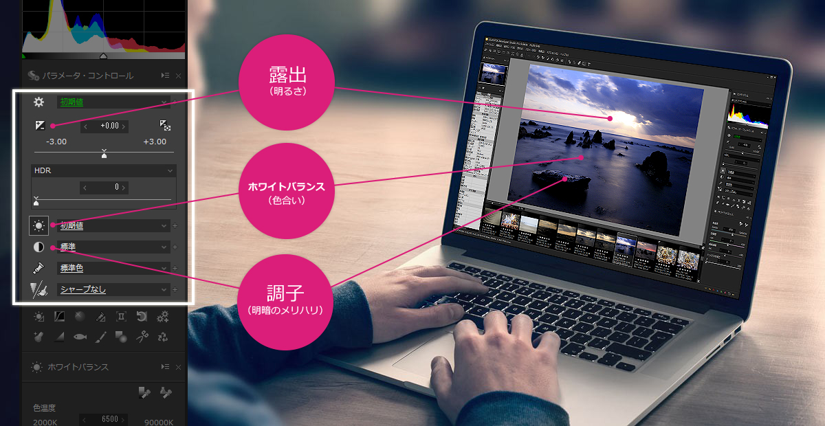 SILKYPIX Developer Studio Pro8 | SILKYPIX