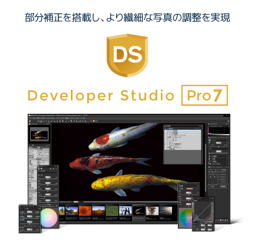 部分補正を搭載し、より繊細な写真の調整を実現 Developer Studio Pro7