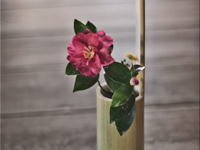 SILKYPIX Taste Collection『銀残し』  SILKYPIX