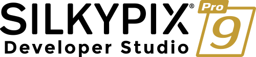 logo-dsp9