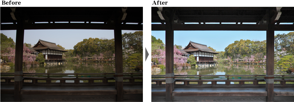 桜　絶景　RAW現像