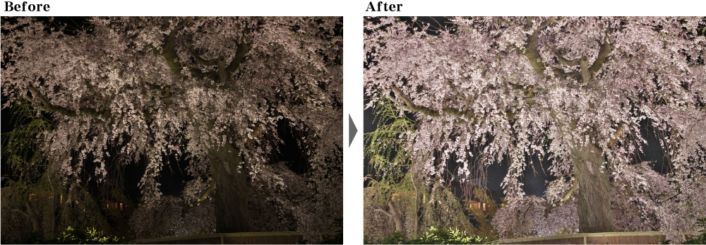 桜　ライトアップ　夜景　調整方法