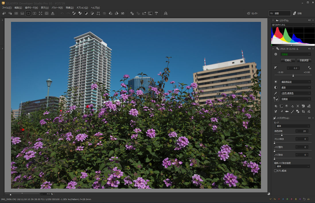 Silkypix Developer Studio Pro10 新機能紹介 パース歪み補正ツール Silkypix