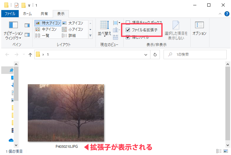 画像ファイルの拡張子を確認（Windowsの場合）_2